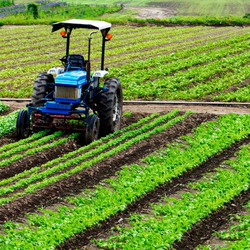 Agricoltura (2)